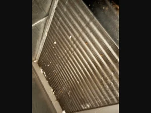 Washed Out the Condenser Coil