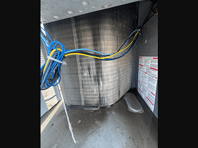 Cleaned Condenser and Evaporator