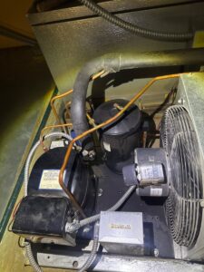 Diagnosed walking cooler in round rock Texas