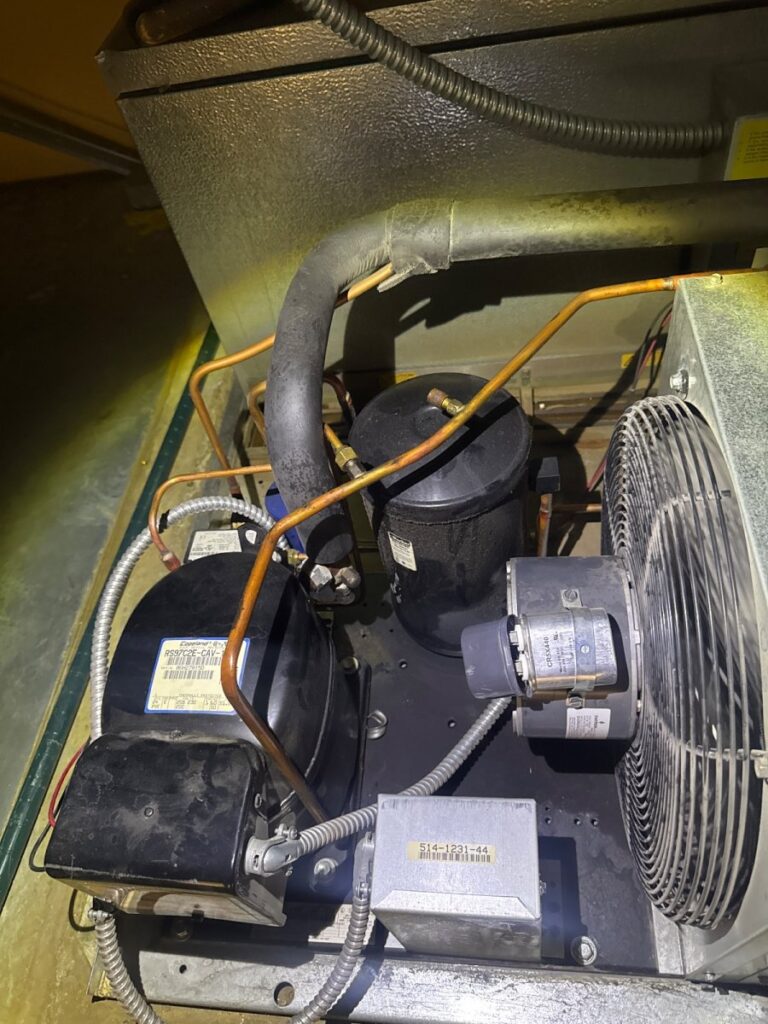 Diagnosed walking cooler in round rock Texas