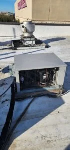 Repaired walk in freezer in cedar park