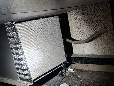 Iced-over evaporator coil on a reach-in merchandiser shut down for de-icing during a Round Rock, TX commercial refrigeration maintenance visit