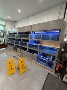 Setpoint Services performed a brief inspection of the water-chiller systems serving the live seafood aqua tanks at Tian Tian...