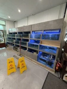 Setpoint Services performed a brief inspection of the water-chiller systems serving the live seafood aqua tanks at Tian Tian...